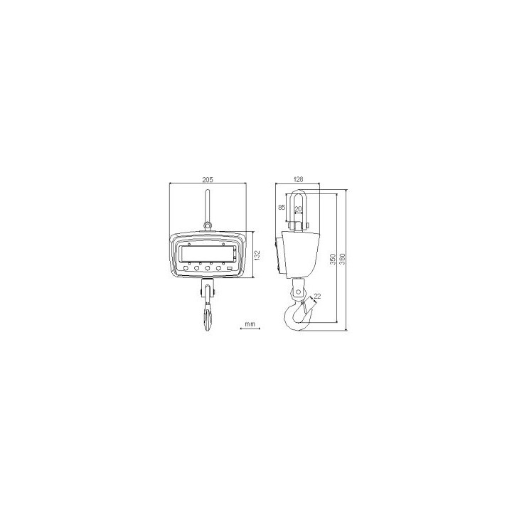 Balance de levage digitale 300 kg - PCS0300