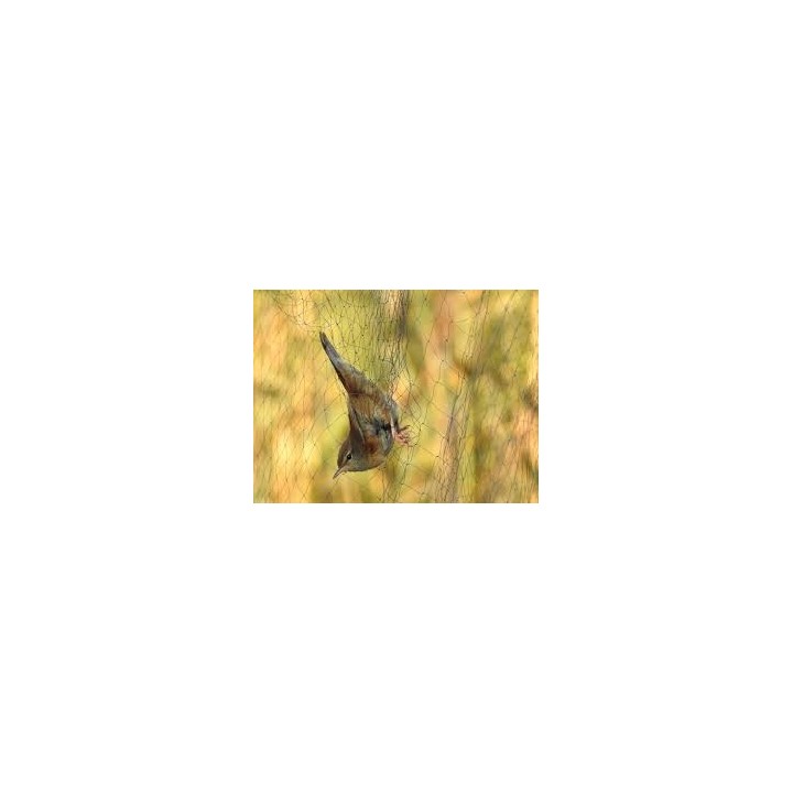 Filet japonais Bonardi pour baguage oiseaux 70 deniers - 15 m de long