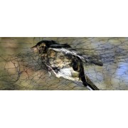 Tri par mailles